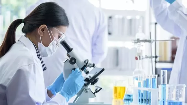 Scientific research illustration showing how Horse Boost ingredients support male health